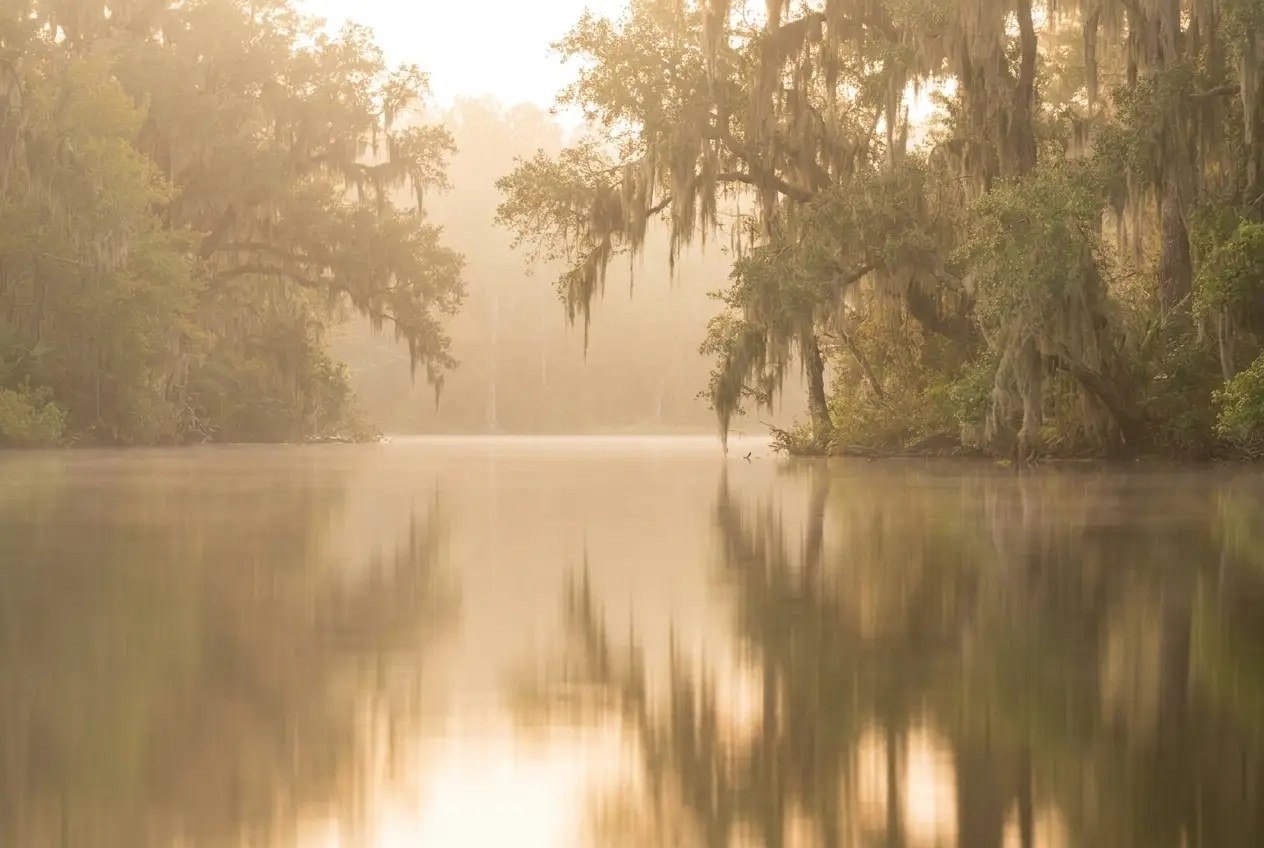 Un lac parfaitement immobile à l'aube, les arbres des deux rives se reflètent dans l'eau et la brume est douce et dorée